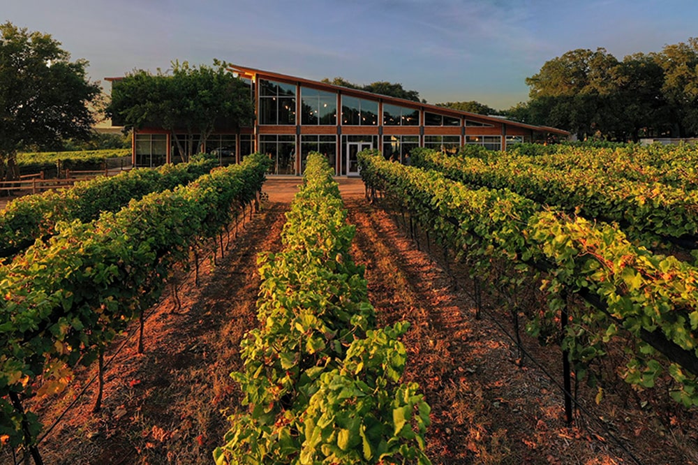 William Chris Vineyards