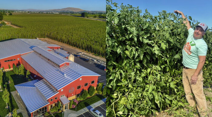 Agriculture at Your Backdoor