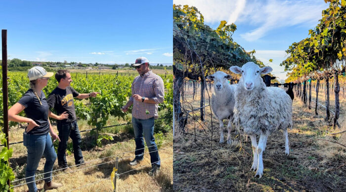 Cultivating a Future of Farming