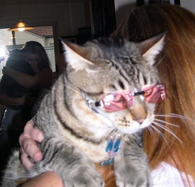 animal
