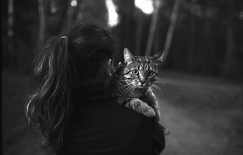 animal