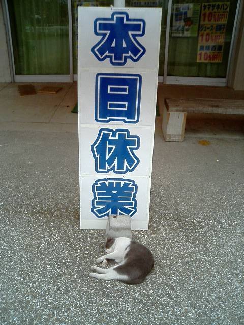 animal