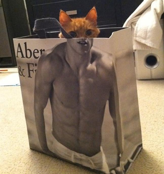 animal