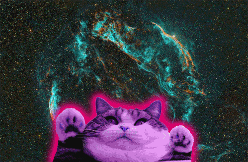 animal