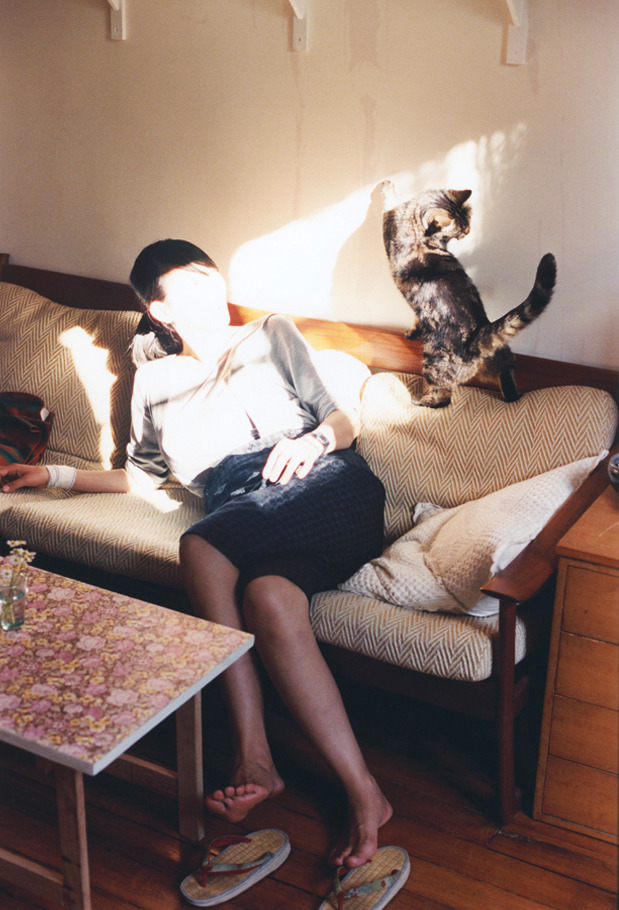 Resident Cat
