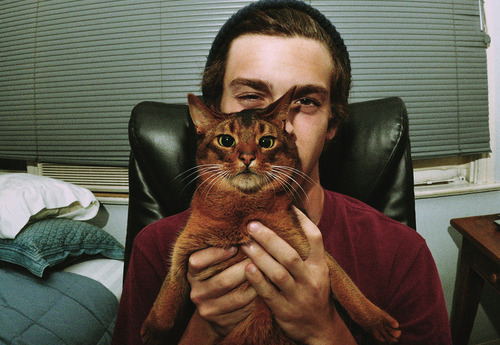 animal