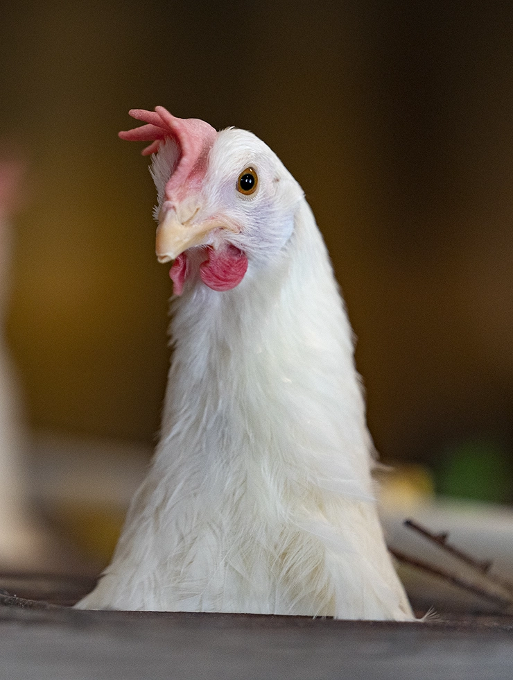 News article featured image