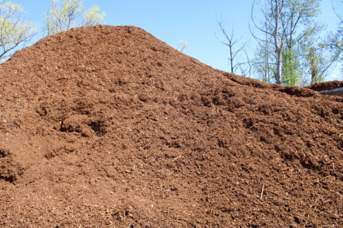 Bark Pile