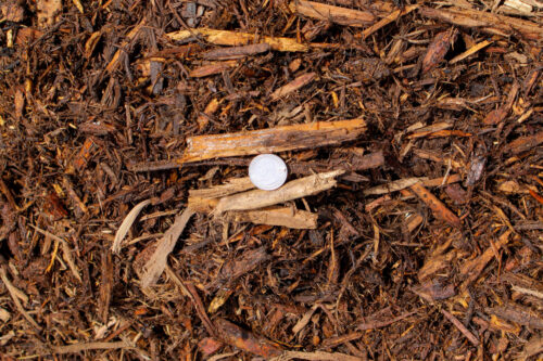 Ground wood mulch close up