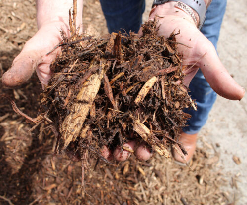 Ground wood mulch hand 2