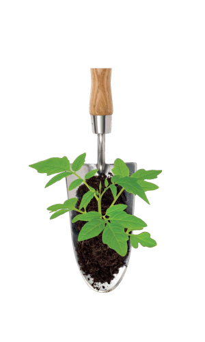 Shovel with Plant
