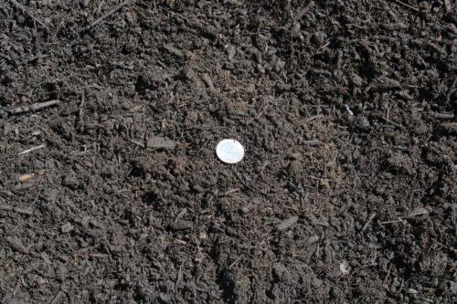 Compost close up