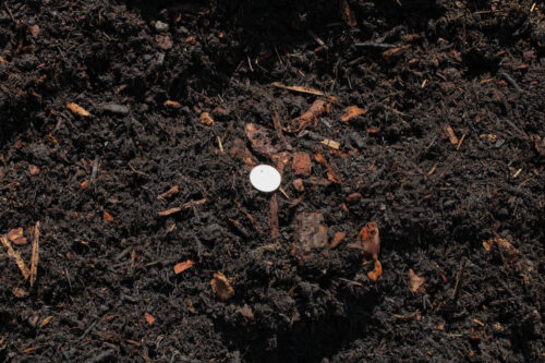 Landscape mulch close up
