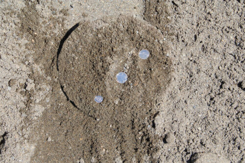 Sand close up