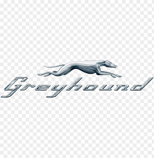 Greyhound
