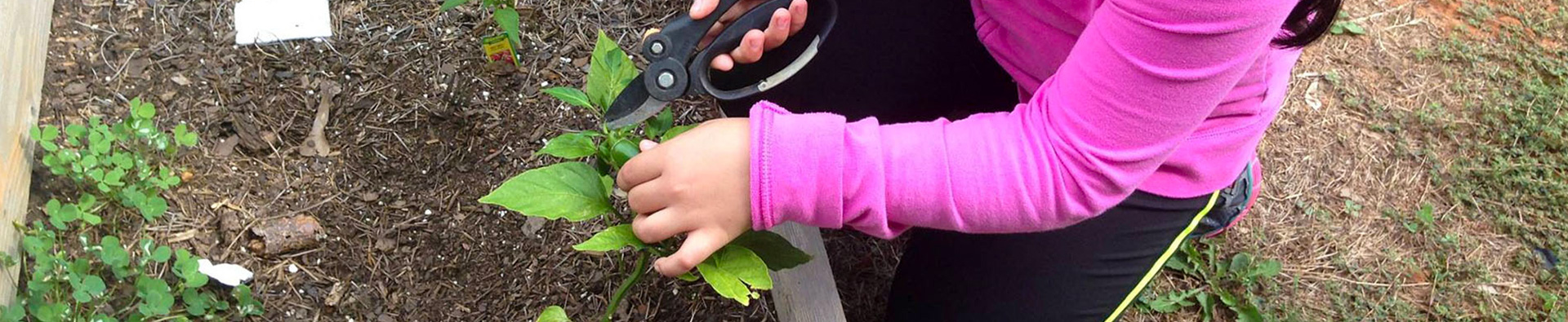 Girl Gardening and Planting