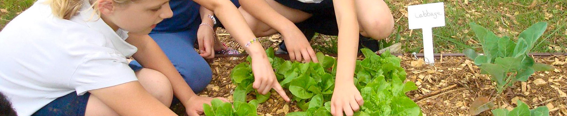 Children Learning and Planting
