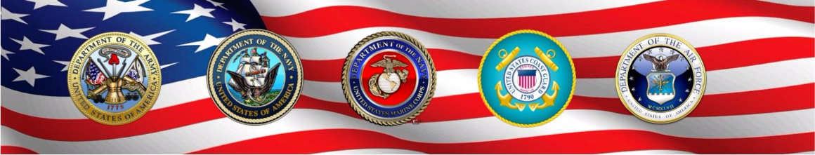 Veterans Treatment Court Banner with Seals