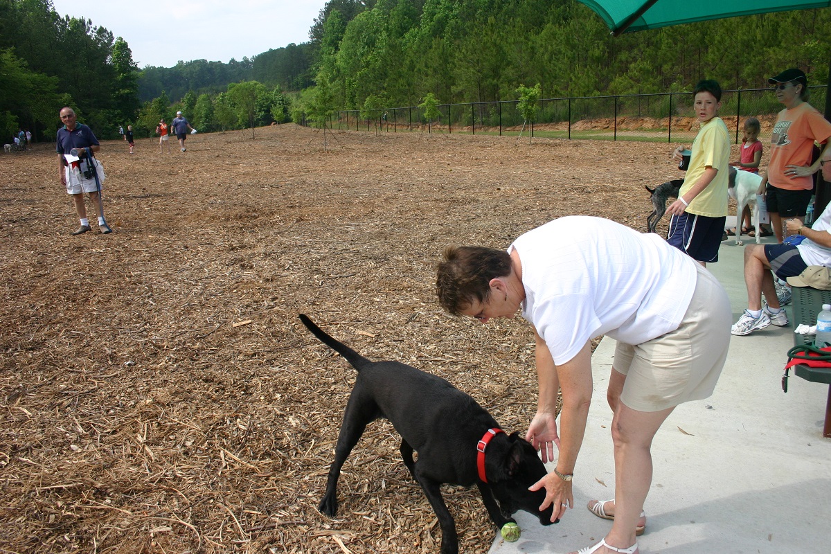 Photo of people and dogs enjoying the Pitner Road dog park.