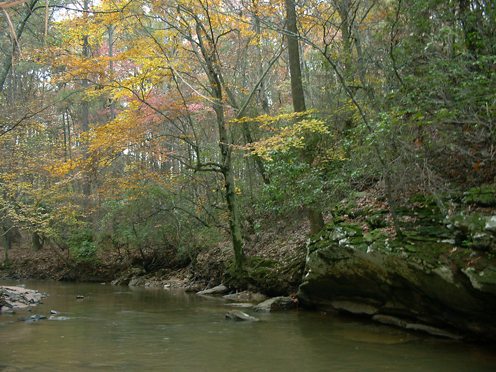 Rottenwood Creek