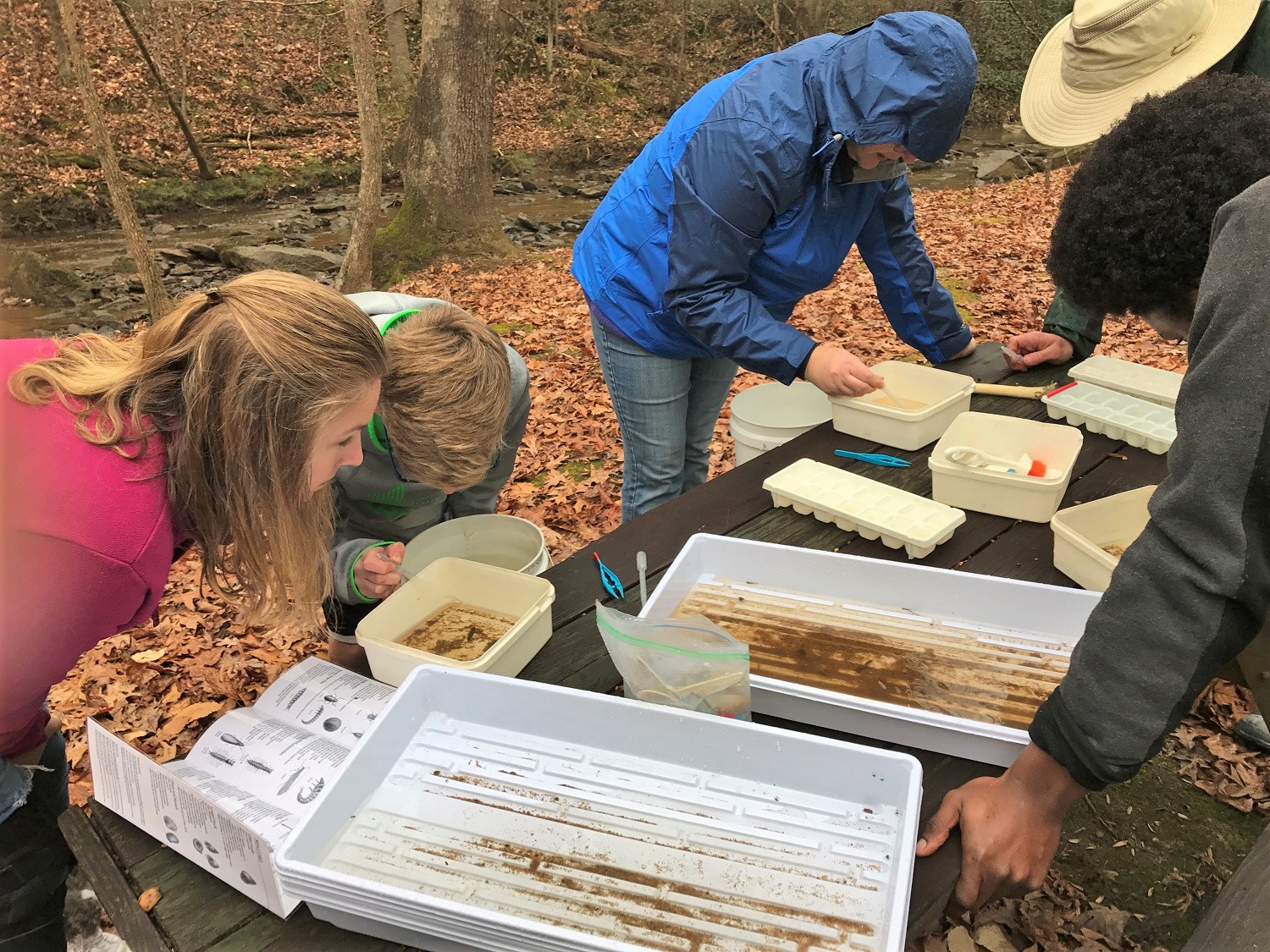 stream bug collecting