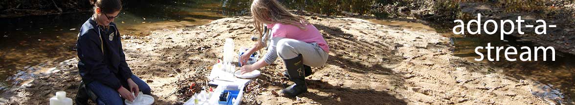 Adopt-a-Stream volunteers