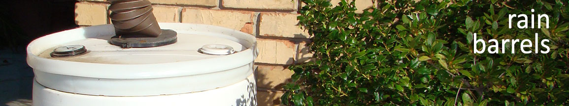 Rain Barrel