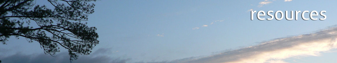 Pine tree sky