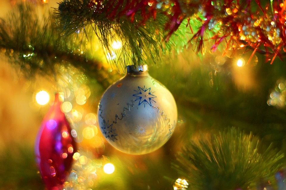 Christmas ornament on a tree