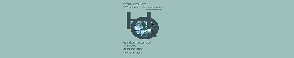 waterReportSpanish