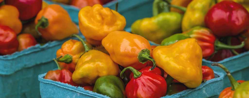 Photo of colorful peppers for sale at farmers market
