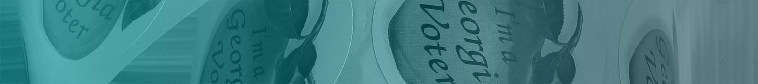 Elections Default Article Image