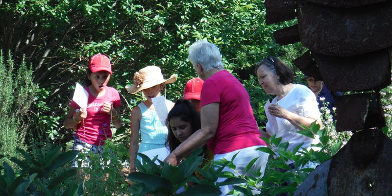 water pollinator census
