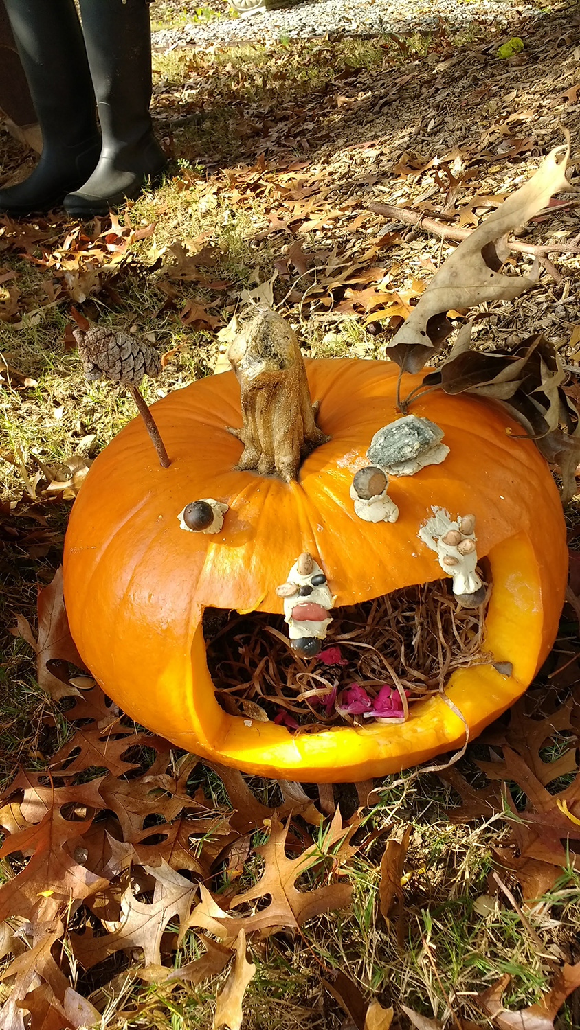 Pumpking fairy house