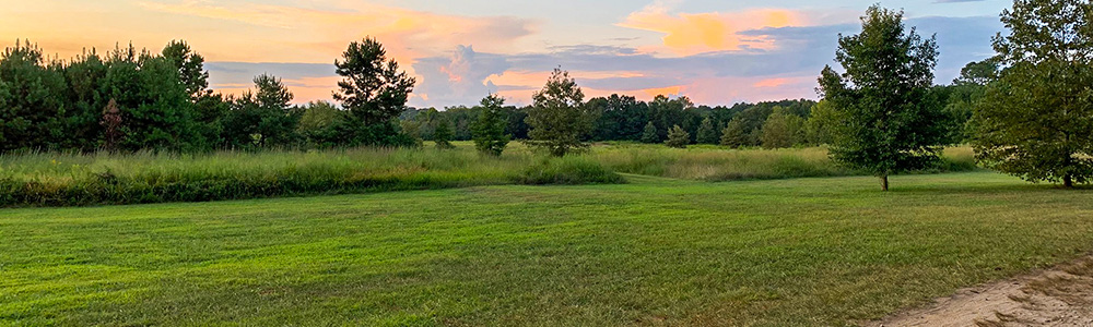 Allatoona Creek Park