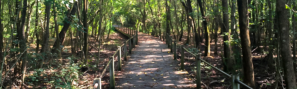 Heritage Park boardwalk trail