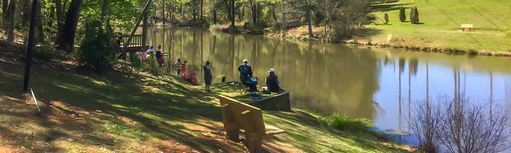 Hyde Farm Park fishing pond