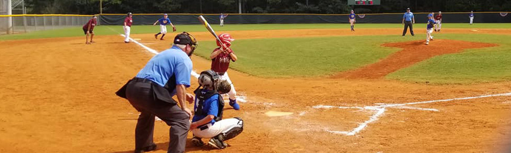 Lions Park Baseball