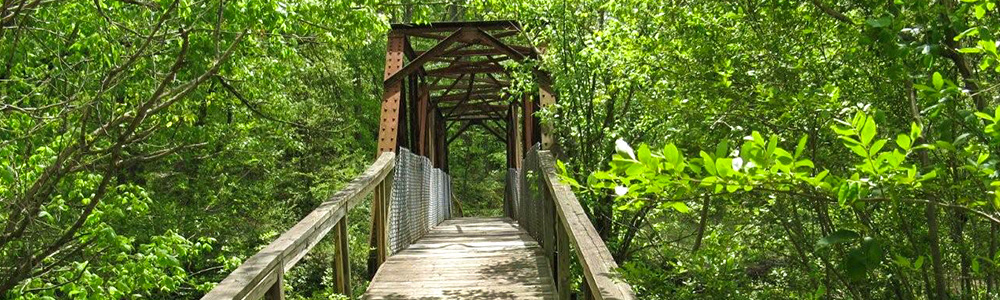 Nickajack Park creek bridge