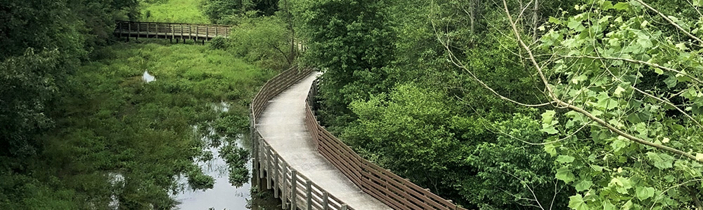 Rhyne Park Boardwalk Trail