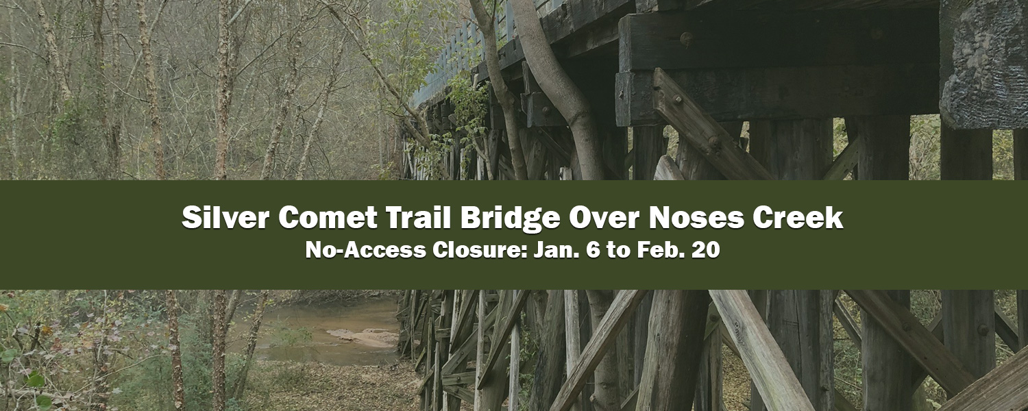 Picture of Silver Comet Bridge over Noses Creek
