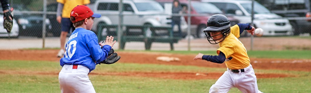 Skip Wells Park baseball