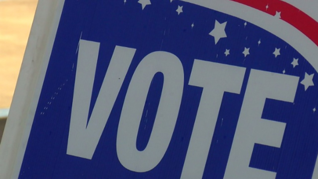vote