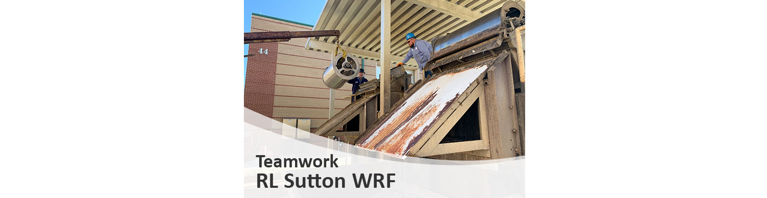 RL Sutton Teamwork