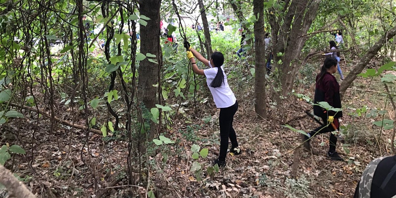 NoondayCreekSiteWorkday