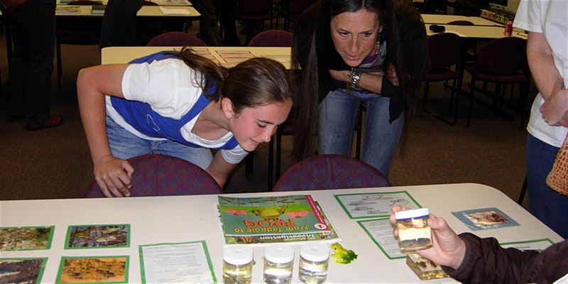images_amphibianMonitoring