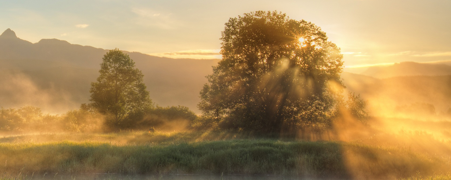 picture of open land