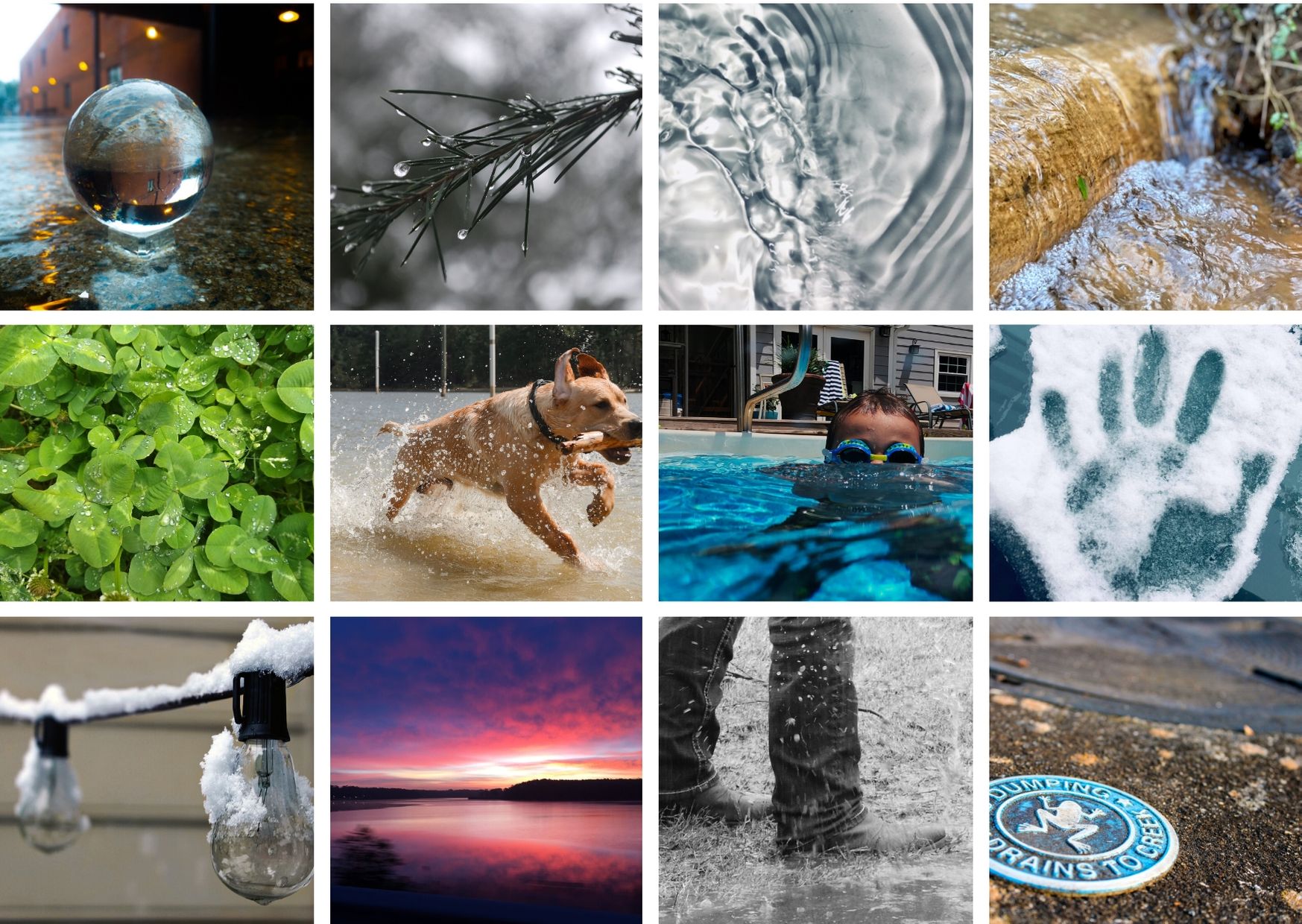PhotoContestWhiteGrid