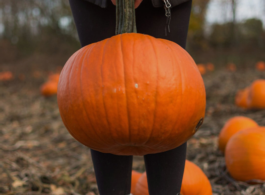 Pumpkin