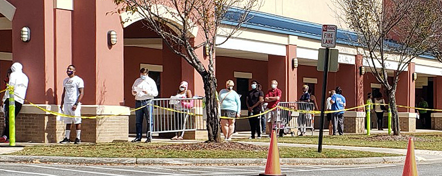 picture of voting line